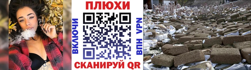 цены наркотик  Фрязино  ГАШИШ Изолятор 