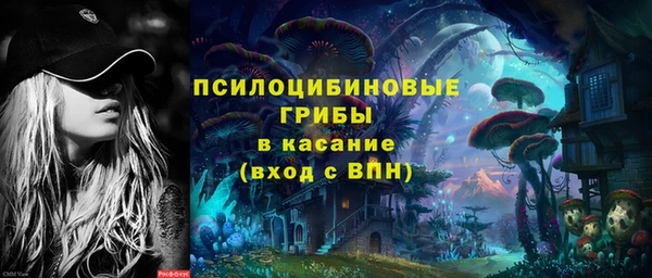 круглые Аркадак