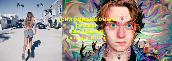эйфоретик Арсеньев