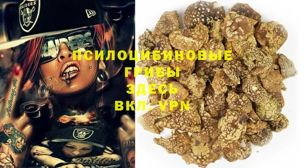 круглые Аркадак